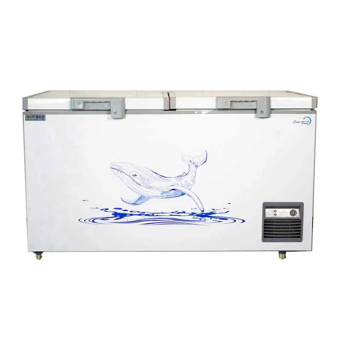 Seafood Freezer